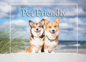Pet friendly vacation rentals in Panama City Beach 30A Destin