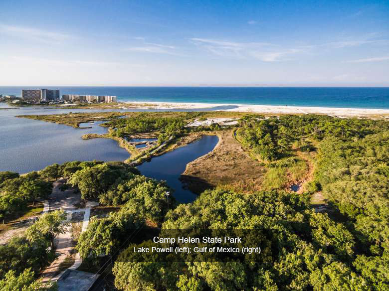 Camp Helen State Park PCB and 30A