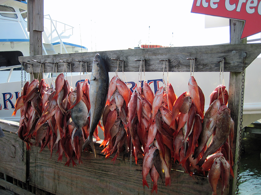 Fishing in Destin Florida