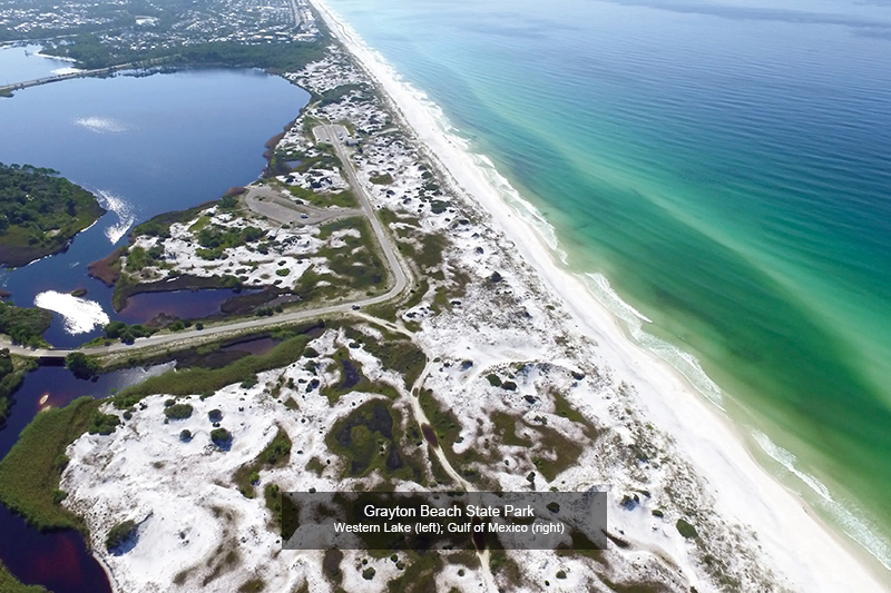 Grayton Beach State Park 30A