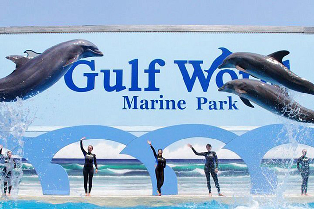 Gulf World Marine Park PCB