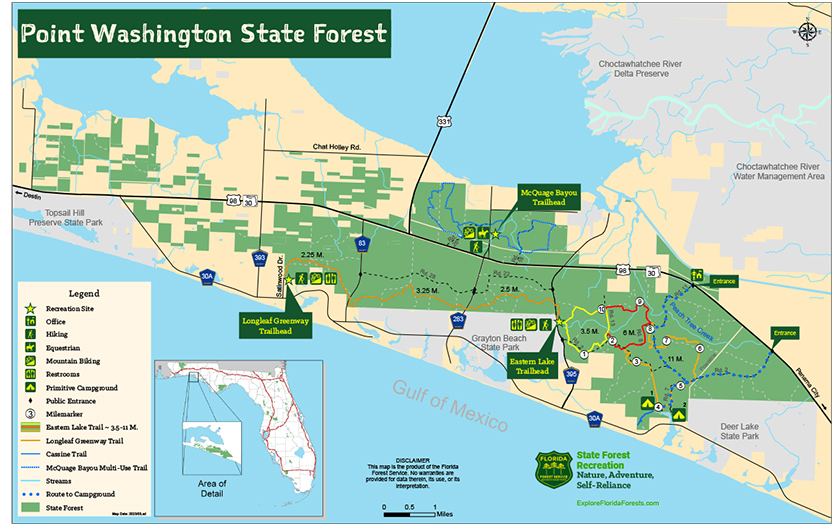 Point Washington State Forest in northwest Florida 30A