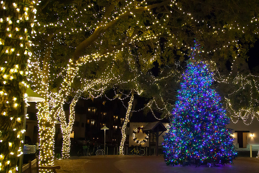 Rosemary Beach Tree Lighting