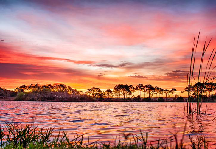 The beauty of St. Andrews State Park in Florida