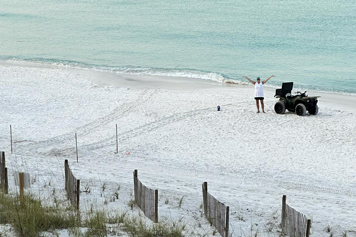 Turtle nesting crawls on Florida Panhandle Beaches